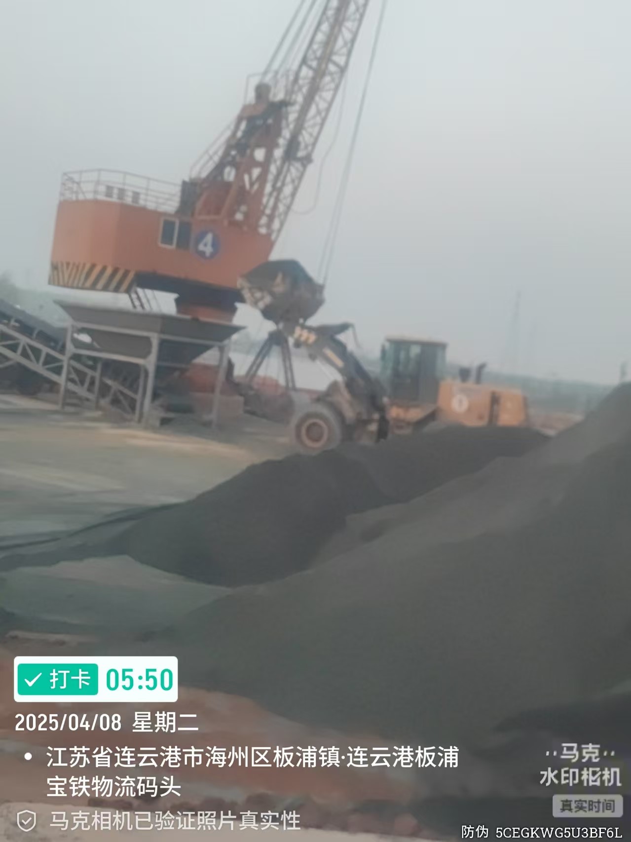 7777.jpg